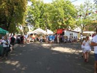 11. Waidmühlenfest in Rohrborn