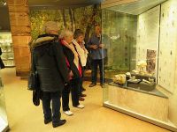 Museum für Ur- und Frühgeschichte Thüringens