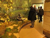 Museum für Ur- und Frühgeschichte Thüringens