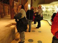 Museum für Ur- und Frühgeschichte Thüringens