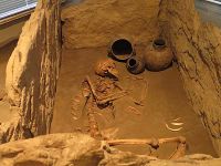 Museum für Ur- und Frühgeschichte Thüringens