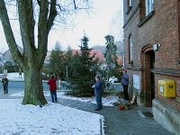 Weihnachtsbaumabbau