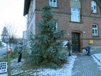 Weihnachtsbaumabbau