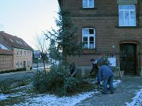 Weihnachtsbaumabbau