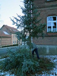 Weihnachtsbaumabbau