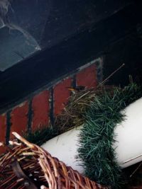 Die Amsel auf dem Maibaum