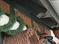 Neuer Nistplatz - Umzugsvorbereitung