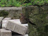 Was die wohl machen?