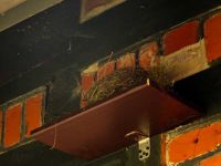 Nest auf neuem Platz