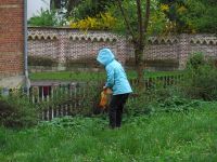 Ostereierfinden 2017