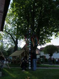 Maibaumsetzen