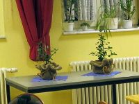 Englischer Abend und Blubüsche