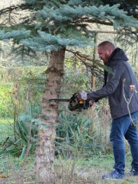 Weihnachtsbaumsetzen 2017