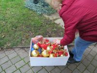 Weihnachtsbaumsetzen 2017