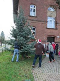 Weihnachtsbaumsetzen 2017