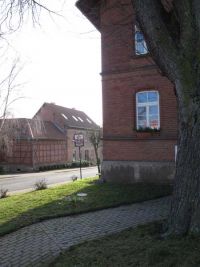 Das Ende des Weihnachtsbaumes