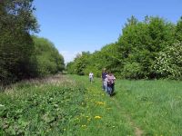 Frühjahrswanderung 2018