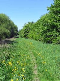 Frühjahrswanderung 2018