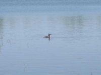 Frühjahrswanderung 2018