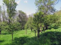 Frühjahrswanderung 2018