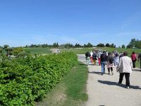 Frühjahrsfahrt 2018