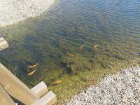 Frühjahrsfahrt 2018