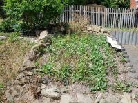 Waidbeet am 26.6.2018