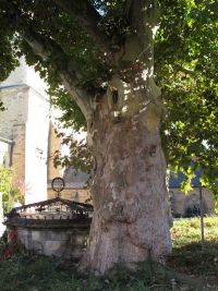 Herbstfahrt - Vor Dom und Schloss