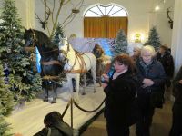 Weihnachtsfahrt 2018 - Kutsche, Knecht Vinzek und Vogelnest mit den Haselnüssen Weihnachtsfahrt 2018 - Kutsche, Knecht Vinzek und Vogelnest mit den Haselnüssen