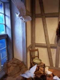 Weihnachtsfahrt 2018 - Tauben