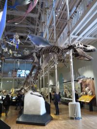 Edinburgh - Nationalmuseum