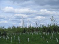 Brücken über den Firth of Forth