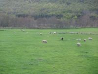 Fahrt in die Highlands