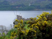 Loch Ness - Urquhart Castle