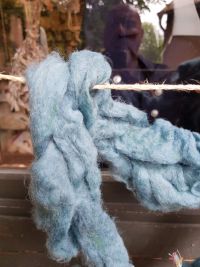 Färben von Rohwolle
