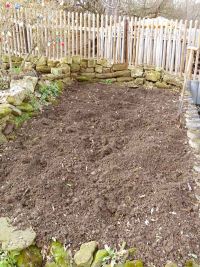 Waidbeet im Jahr 2021