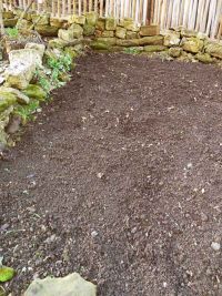 Waidbeet im Jahr 2021