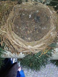 Museumsputz und Maikranzbinden 2022