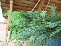 Museumsputz und Maikranzbinden 2022