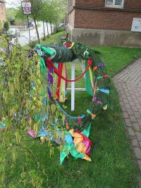 Maibaum 2022