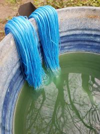 Waidfärbung am 1.5.2022