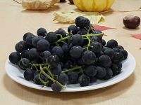 Vereinssitzung am 10.10.2023