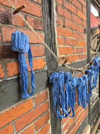 Waidfestvorbereitung