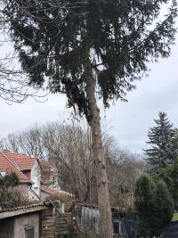 Weihnachtsbaumsetzen 2025