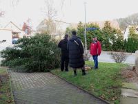 Weihnachtsbaumsetzen 2025