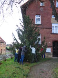Weihnachtsbaumsetzen 2025