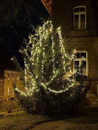 Weihnachtsbaumsetzen 2025