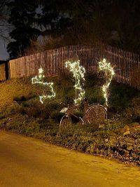 Weihnachtsbaumsetzen 2025