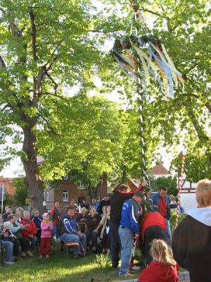 Maibaum 2007