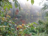 Saaleufer in Bad Kösen